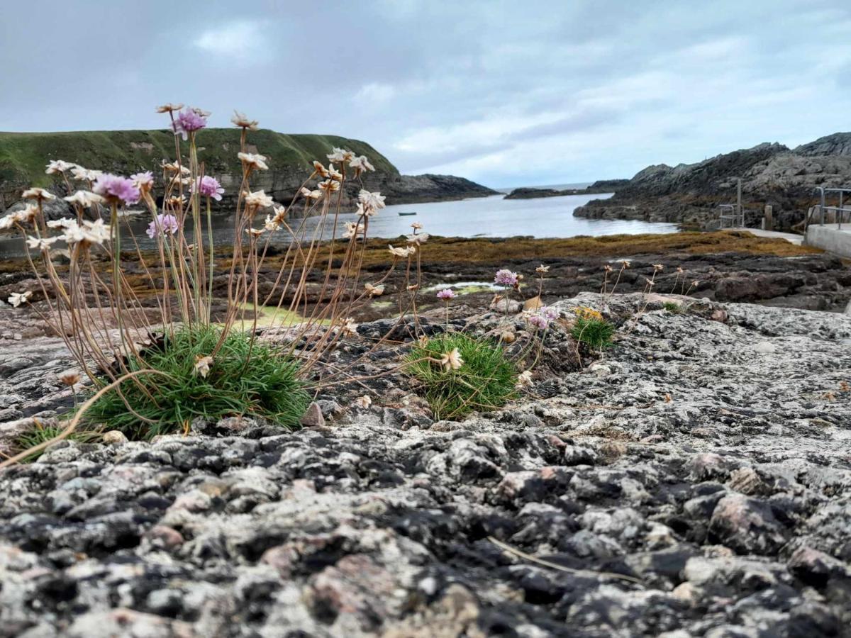 Southview Villa Portskerra Eksteriør bilde