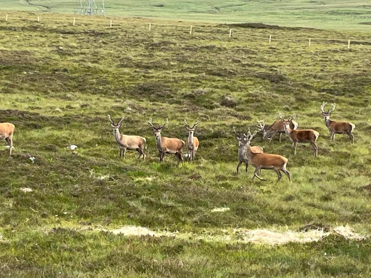 Southview Villa Portskerra Eksteriør bilde